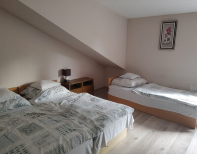 Erdőre néző panorámás 3+1 fős apartman